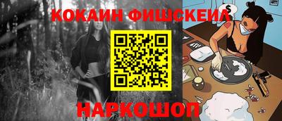 шишки Обь