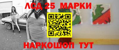 шишки Обь