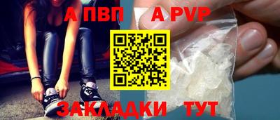 шишки Обь
